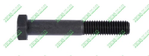 Śruba M16x110.jpg