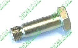 Śruba sprzęgła pompy A72X DV1733.jpg