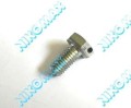 Śruba M10x20 wieńca ślimacznicy WNA1320.jpg